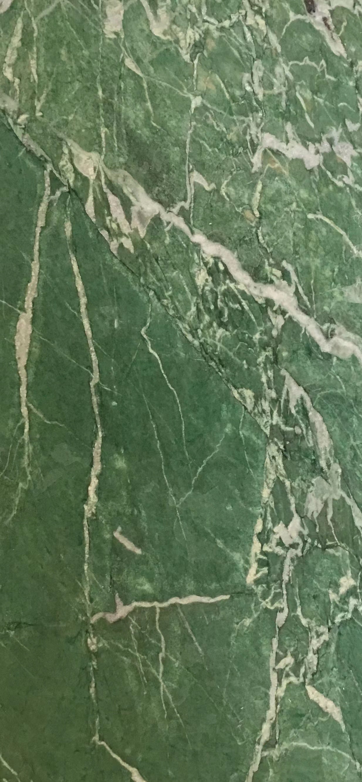 Verde Floresta