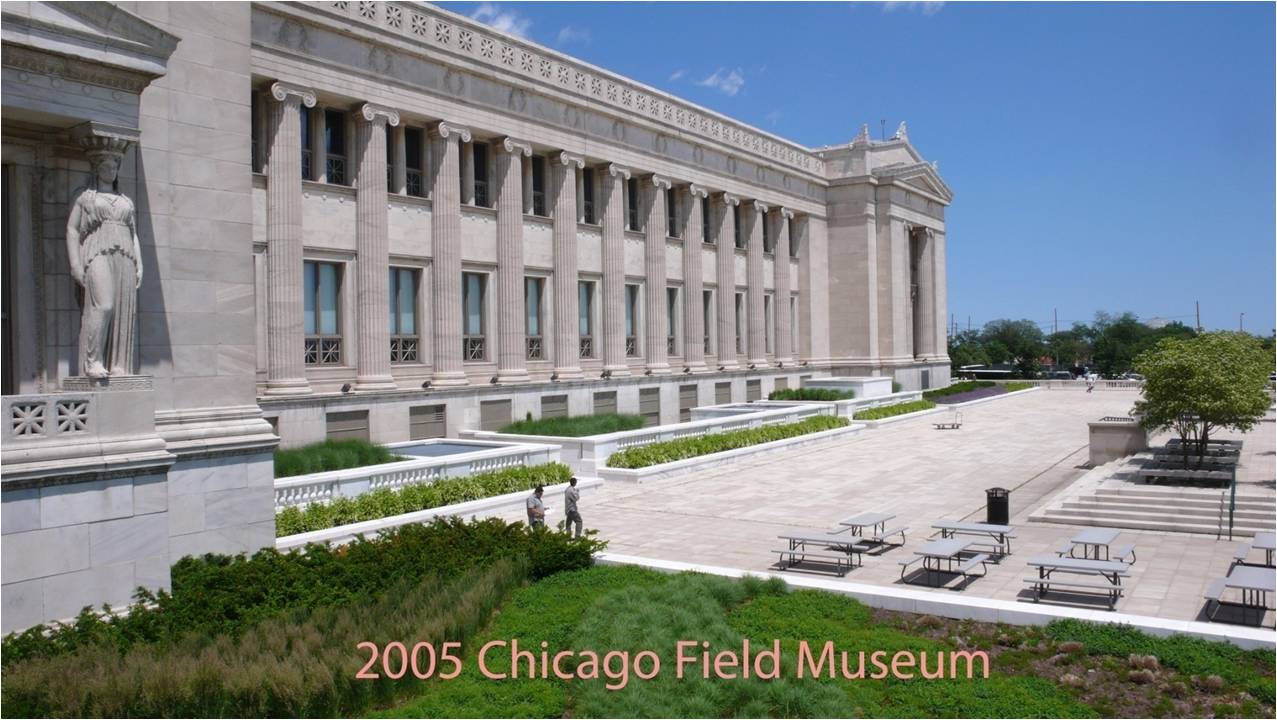 Chicago Field Museum