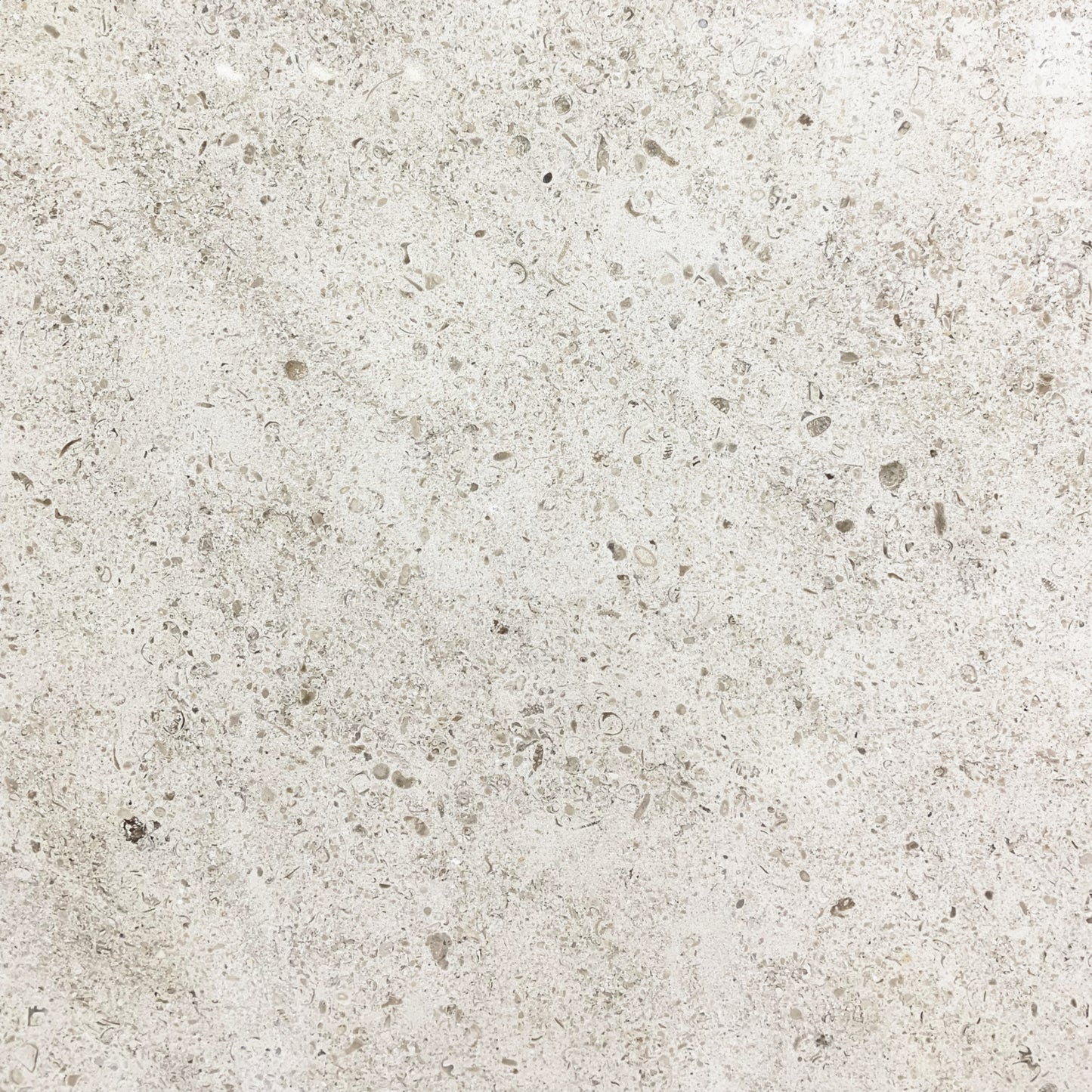 MG Beige - Medium Grain