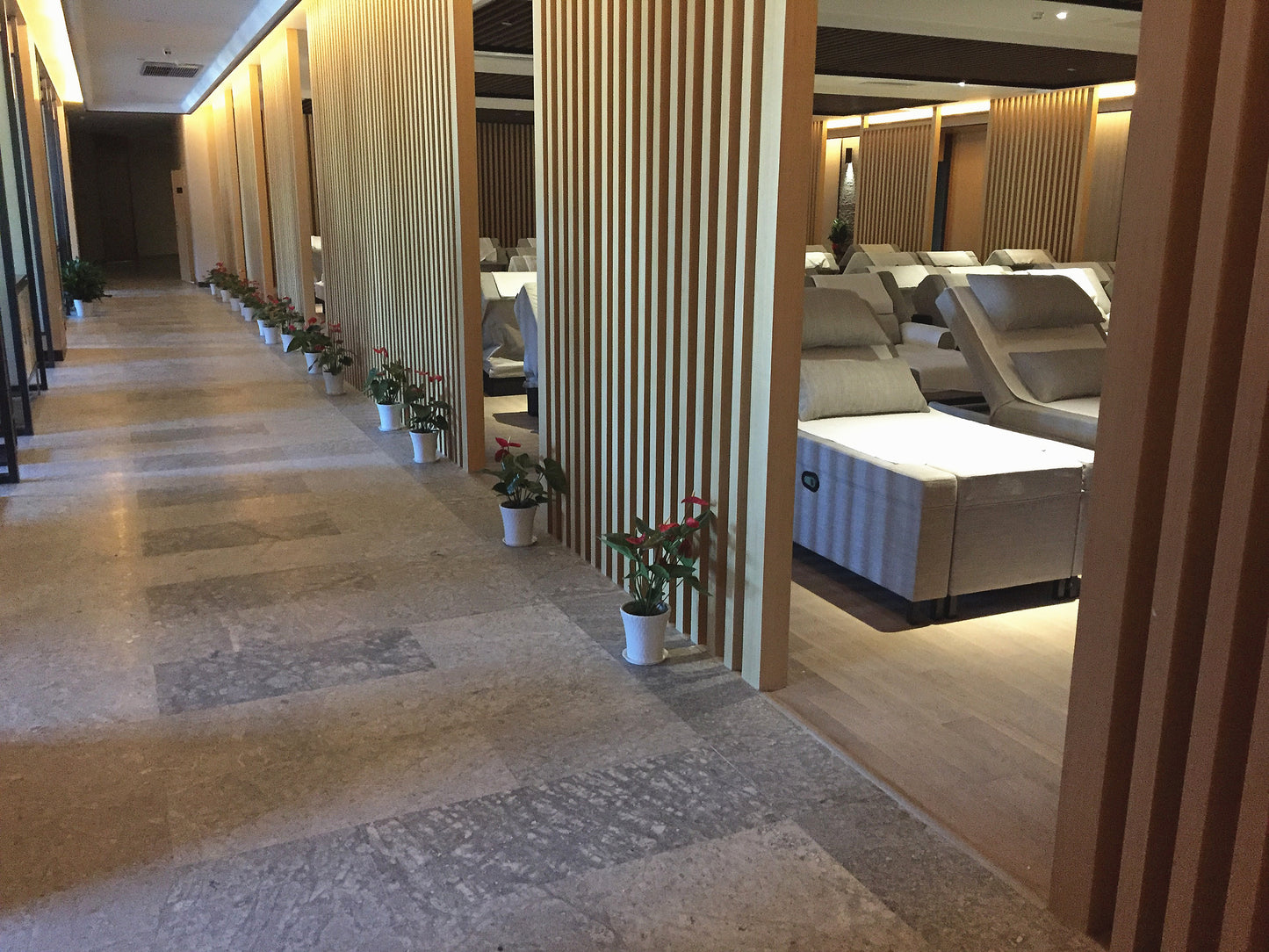 Phoenix City Hotspring Resort