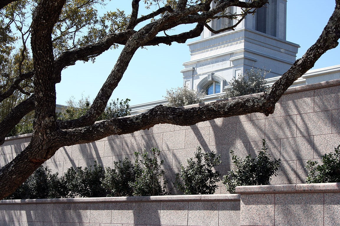 San Antonio Texas Temple